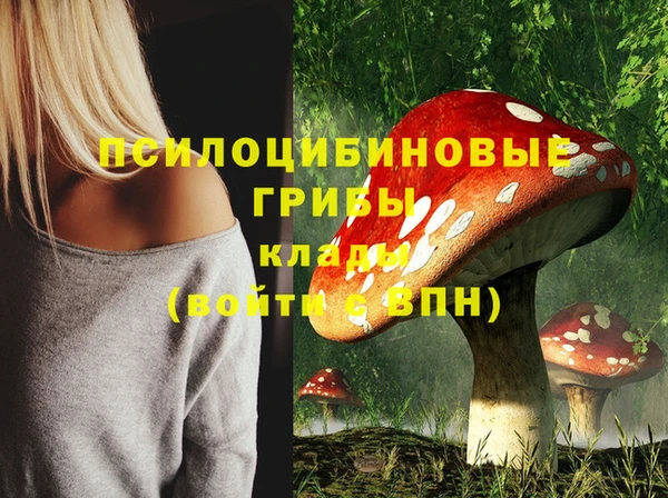 jwh Каменск-Шахтинский