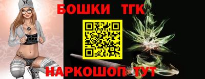 СК Дубна
