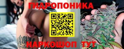 СК Дубна