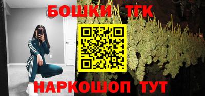 СК Дубна
