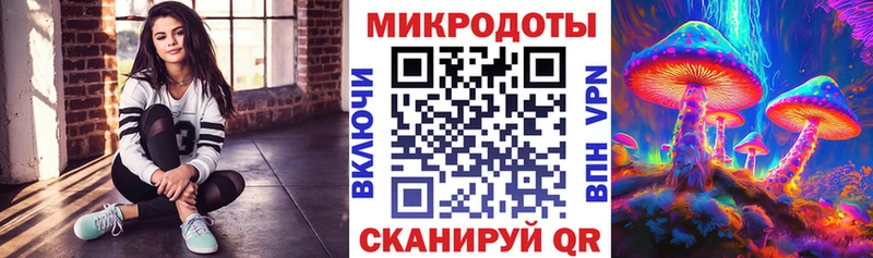 как найти закладки  Волгоград  Галлюциногенные грибы MAGIC MUSHROOMS 