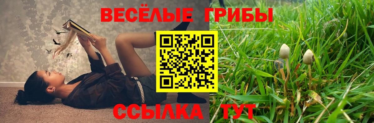 Псилоцибиновые грибы Psilocybine cubensis  даркнет сайт  Галлюциногенные грибы ЛСД  Волгоград 