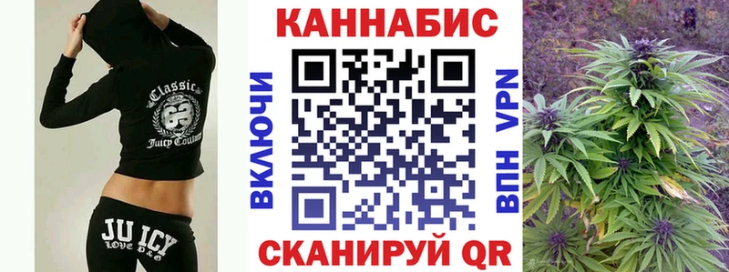 Конопля SATIVA & INDICA  дарнет шоп  Волгоград 